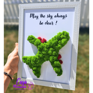 Tablou decorativ cu licheni naturali - Design Avion